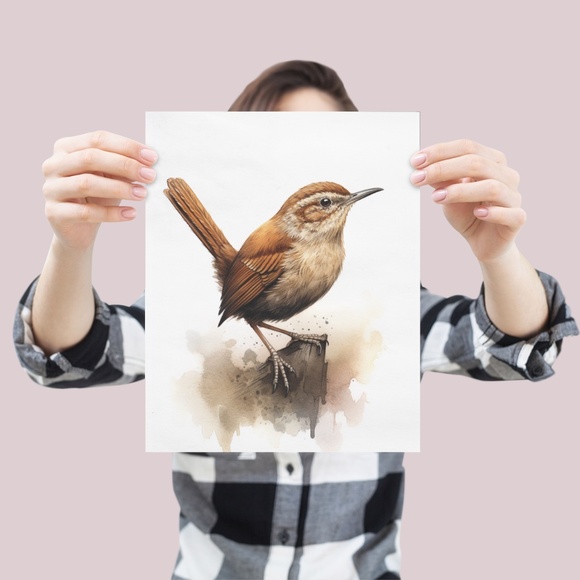 Watercolor Wren Bird Portrait Wall Art Illustration Print Poster Unframed - Picture 5 of 9